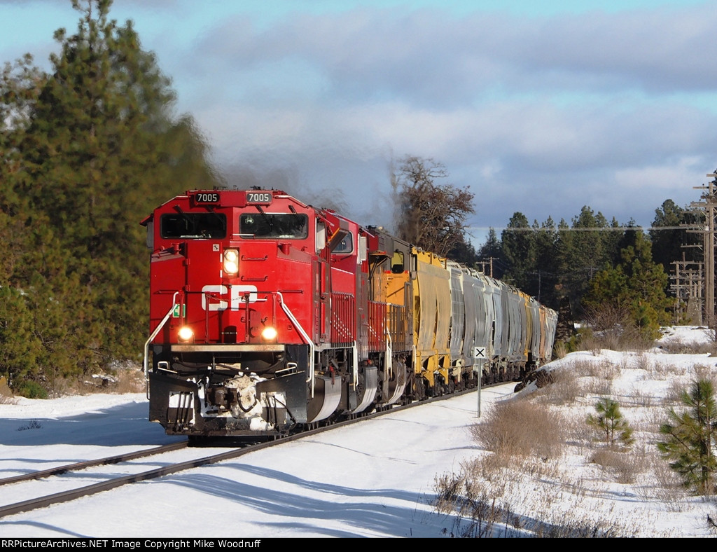 CP 7005